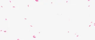 飘扬花瓣七夕海报免抠