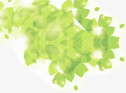 春天梦幻星光绿叶免抠 春天梦幻星光绿叶免抠