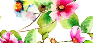 花朵简约纹理质感图高清