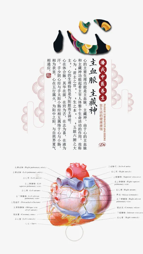 中医养生养心免抠