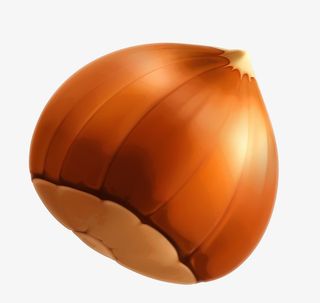 褐色简约板栗免抠