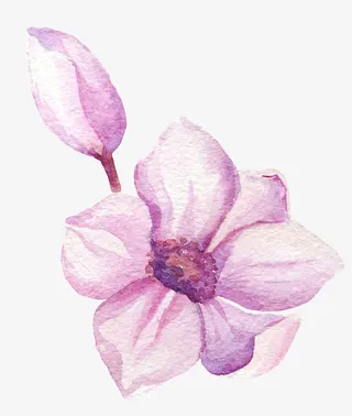 文艺清新花草海报设计装饰玉兰花免抠