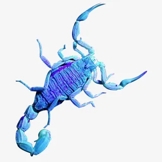 紫色手电光照蝎子免抠