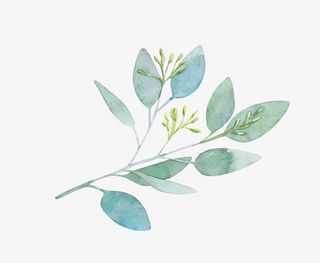 文艺清新花草花环海报设计装饰免抠手绘/卡通手绘元素