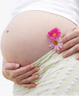 孕妇写真免抠 孕妇写真免抠
