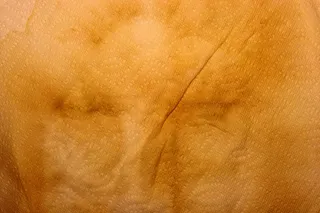 黄色有印花的纸质免抠