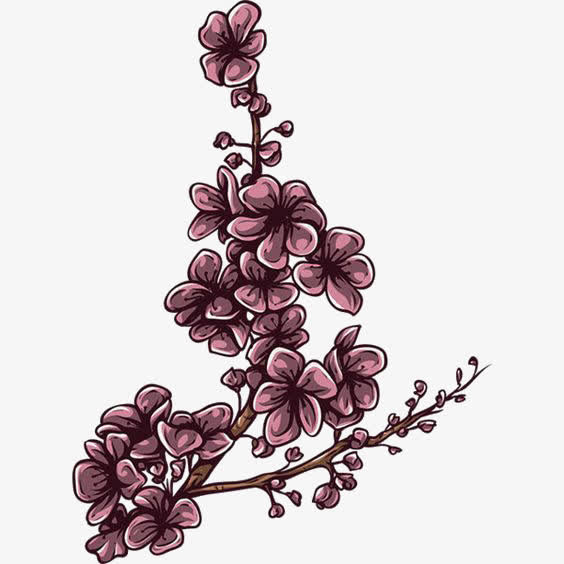 中国风梅花素材免抠