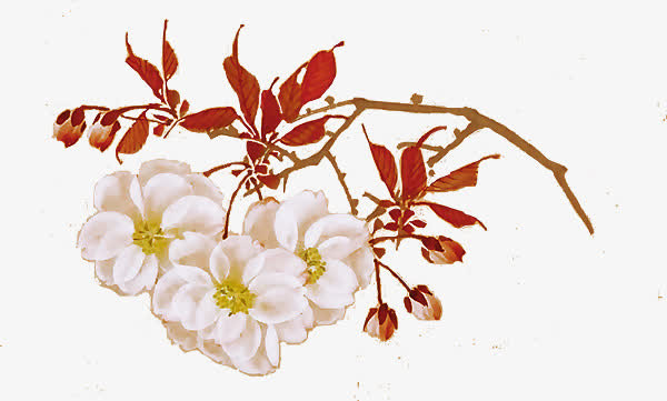中国风桃花免抠