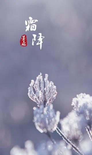霜降节气文字植物元素免抠
