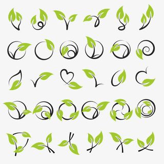 绿叶装饰矢量素材免抠