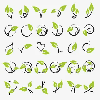 绿叶装饰矢量素材免抠