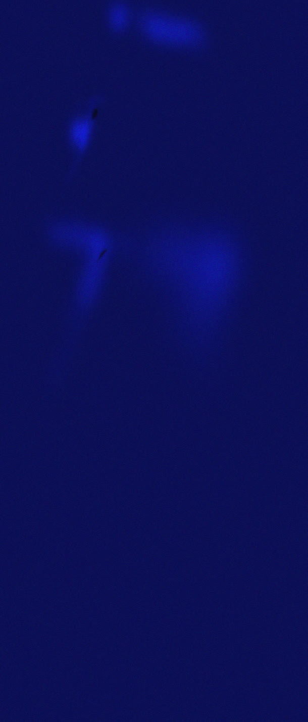 蓝色背景，淘宝素材