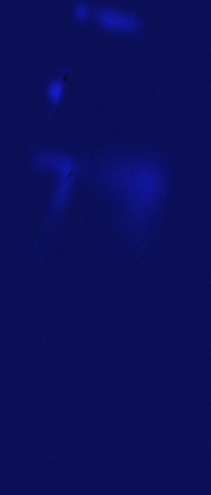 蓝色背景，淘宝素材