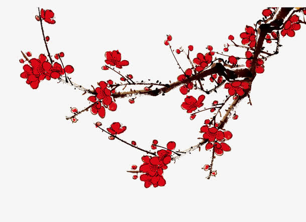 梅花免抠