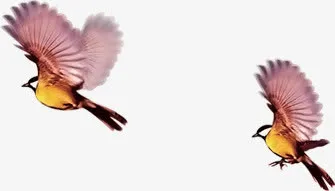 春天黄红色翅膀小鸟免抠装饰动物元素