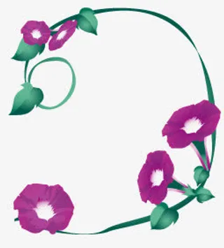 紫色喇叭花免抠