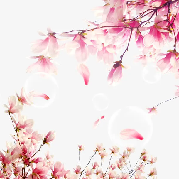 樱花元素免抠