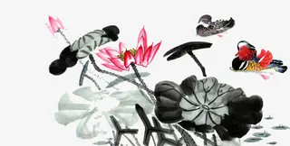 水墨荷花素材免抠