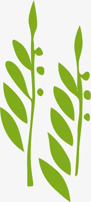 春天绿叶手绘植物免抠