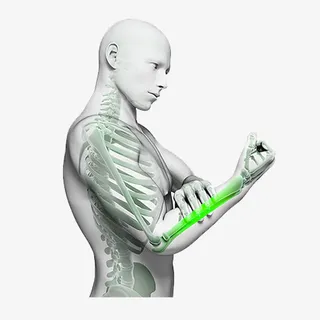 不规则图形医疗人体免抠素材免抠