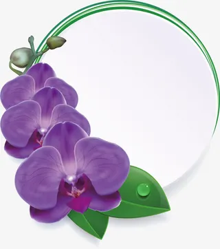 梅花，花朵，淘宝素材，花絮，矢免抠