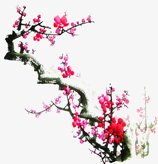 手绘粉色梅花树枝装饰免抠
