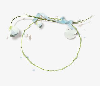 植物花卉边框素材植物花卉素材免抠