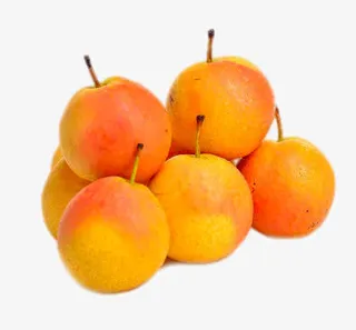 辽宁南果梨免抠