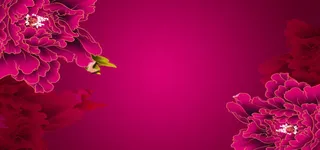 牡丹花纹背景图片