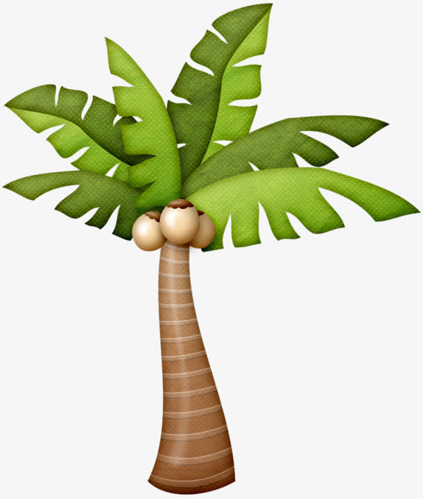 椰树卡通绿叶植物免抠