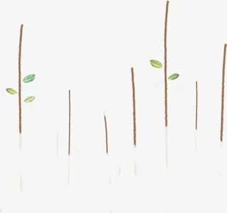 扁平风格高清树枝免抠