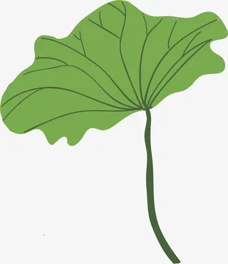 卡通夏日荷叶装饰插画免抠