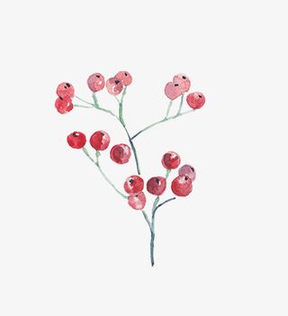 圣诞节手绘花纹素材免抠