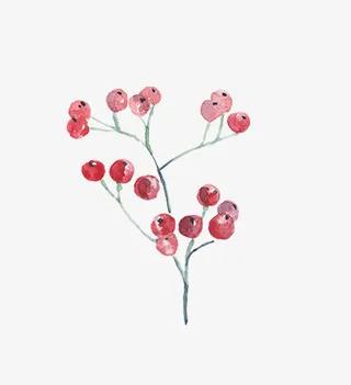 圣诞节手绘花纹素材免抠