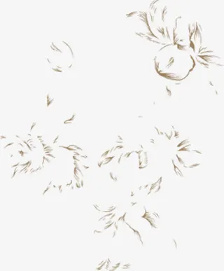 棕色婚礼欧式花纹免抠