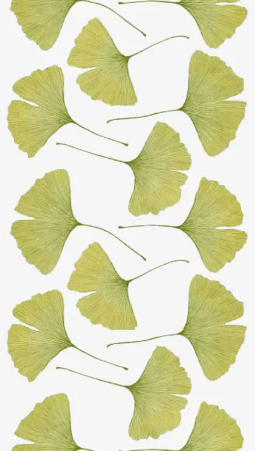银杏免抠