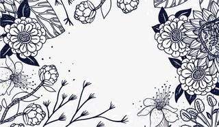 卡片矢量素材免抠