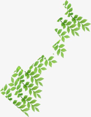 绿色卡通花藤树叶春天免抠