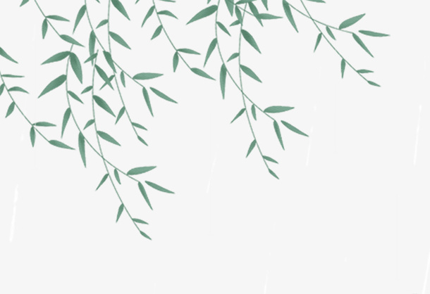 中国风手绘绿叶，柳枝杨柳踏青谷雨免抠动植物植物元素