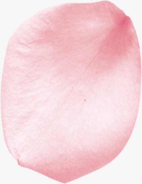 花瓣花瓣花瓣免抠