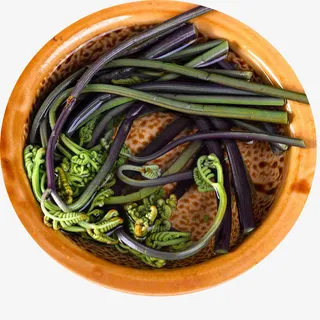 好吃的春天的蕨菜免抠 好吃的春天的蕨菜免抠
