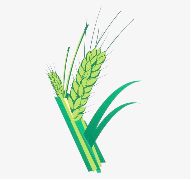 麦子免抠