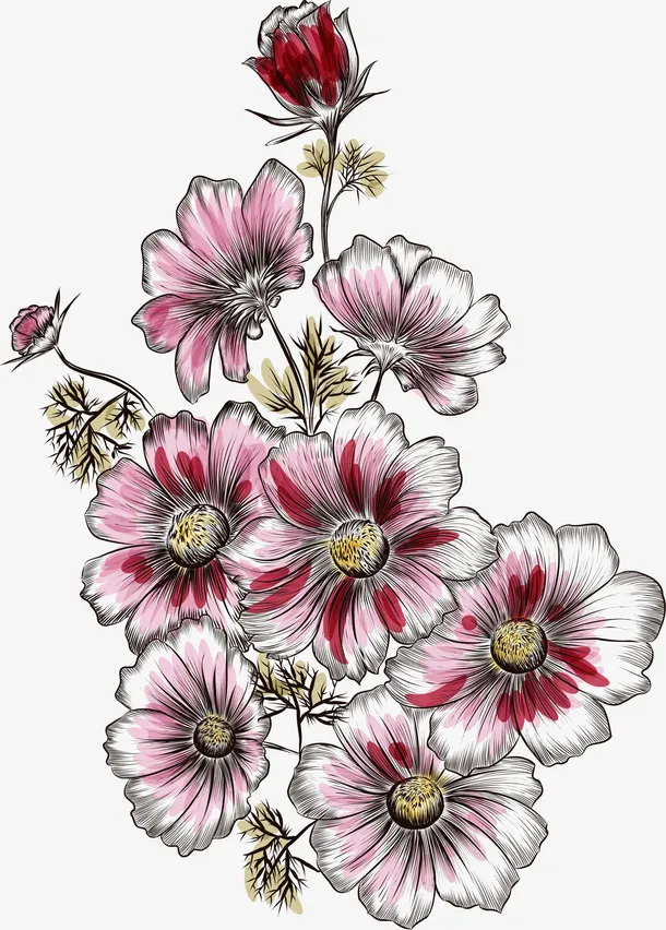 粉色线条花朵免抠