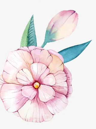 彩绘花卉免抠