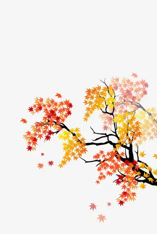 可爱小清新装饰海报装饰枫树免抠