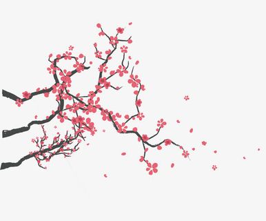手绘樱花树枝装饰图案免抠