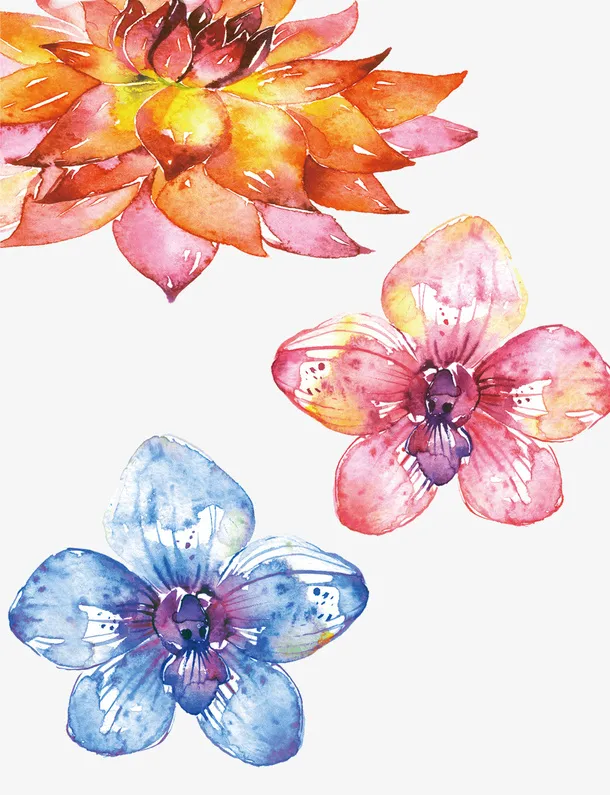 清新花卉素材免抠