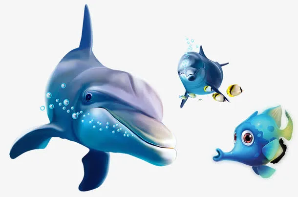 海洋生物免抠