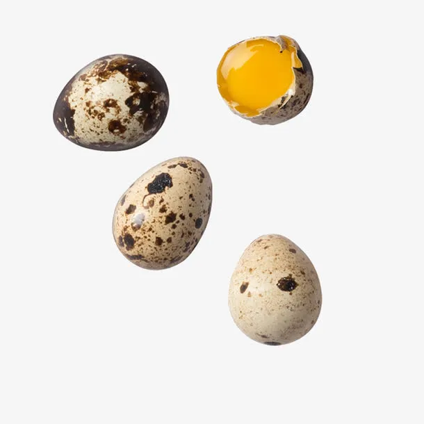 白色鸟蛋免抠