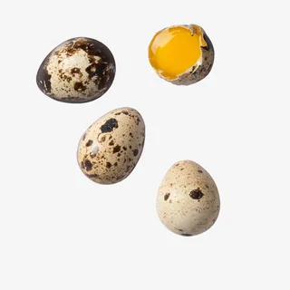 白色鸟蛋免抠